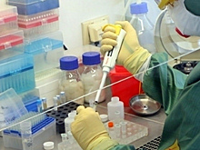 Число инфицированных коронавирусом превысило в Омской области 300 человек