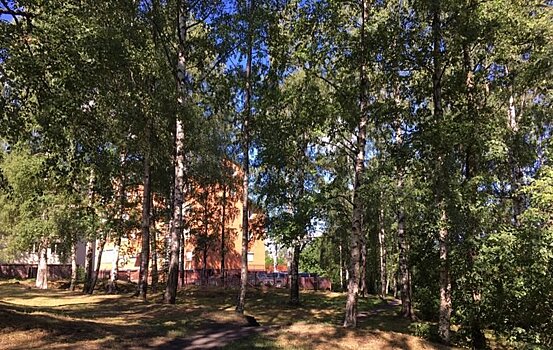 Ценности не представляет. Парк "Берёзовая роща" больше не является объектом культурного наследия