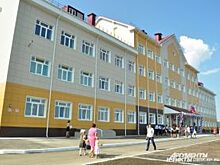 В Омске на кронирование деревьев у школ и детсадов нужно найти 78 млн руб.