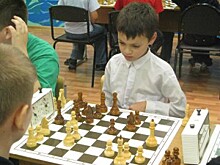 Интерактивные игры и турнир по шахматам прошли в районе
