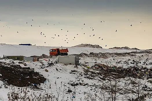 Правительство Новосибирской области стало собственником АО «САХ»