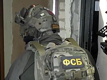 ФСБ: В Запорожье задержан украинский агент, готовивший теракт против чиновников