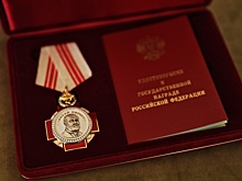 Курских сотрудников наградили орденом Пирогова