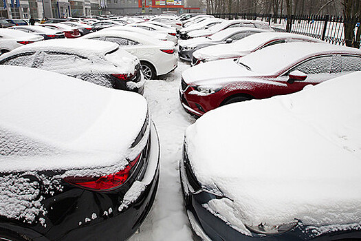 В РАН дали прогноз на зиму в Москве