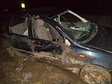 Две машины сбили лося в Рязанском районе