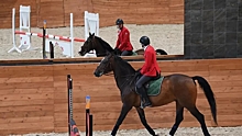 Сборная РФ по конному спорту выиграла четыре золота Евразийских игр