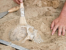 Петербургские археологи нашли в Хакасии игрушки бронзового века