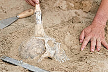 Петербургские археологи нашли в Хакасии игрушки бронзового века