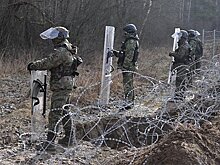 Польша установила на границе с Россией и Белоруссией противотанковые ежи