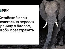 Главные новости понедельника