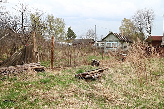 Что делать, чтобы садовый участок не признали заброшенным