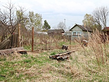 Что делать, чтобы садовый участок не признали заброшенным