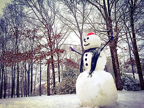 В Коптеве проводится конкурс на лучшего снеговика