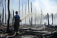 «Токсичный смог»: россиян предупредили об угрозе торфяных пожаров