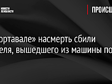 На «Сортавале» насмерть сбили водителя, вышедшего из машины после ДТП