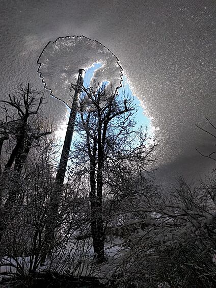 Заснеженная крыша вольера в зоопарке.