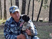 Дружбе жулика с полицейским умиляется вся сеть