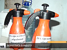Ежедневную санитарную обработку проводят на заводе в Богородске
