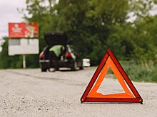Причиной утреннего ДТП на МКАД стала утка