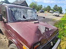 В аварии в Омутнинске погиб пешеход
