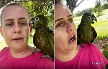 Хозяйка быстро пожалела, что вступила в «полемику» со своим попугаем: видео