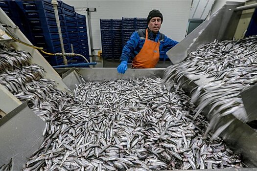 Большой улов