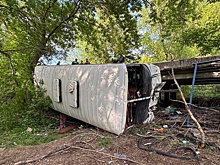 Шесть человек пострадали при опрокидывании автобуса в Воронежской области