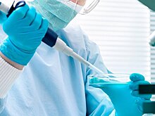 Вспышку африканской чумы свиней зафиксировали в Румынии