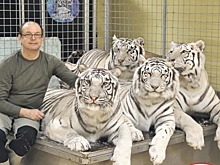 Тренер тигров и житель Савёловского района Сергей Нестеров рассказал о своей команде