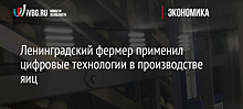 Ленинградский фермер применил цифровые технологии в производстве яиц