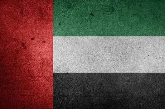 В ОАЭ планируют взаимодействовать с Переходным советом Судана
