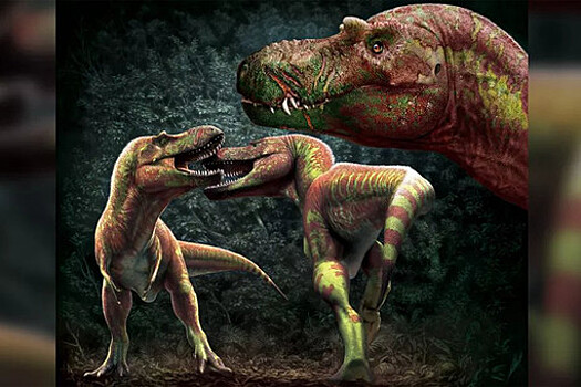 Палеонтологи объяснили, зачем тираннозавры грызли друг другу морды