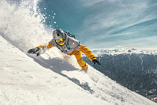 Fox News: в США сноубордист отбился от нападения пумы на горнолыжном курорте