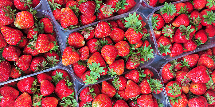 В Москве ветсанэксперты проверили свыше 20 тысяч тонн ягод и фруктов