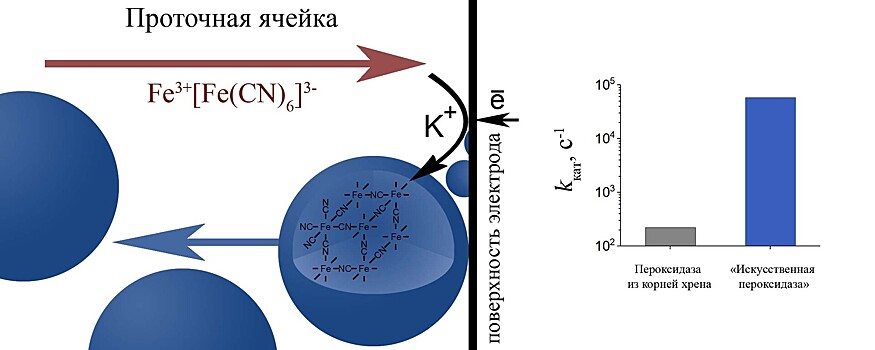 Электросинтезированный искусственный фермент для биосенсоров обогнал природный по эффективности в 200 раз