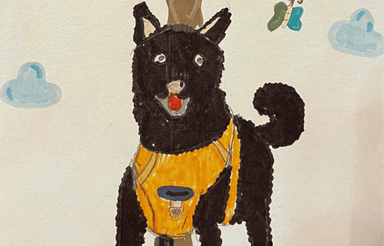 Рисунки детей поддержат животных из приютов в Москве и Подмосковье