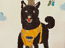 Рисунки детей поддержат животных из приютов в Москве и Подмосковье