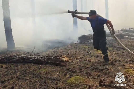 Появились кадры ландшафтного пожара в Крыму на площади 15 гектаров