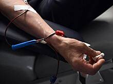 Посетители форума «Армия» сдали десятки литров крови за три дня