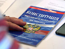 В Кремле назвали информационной диверсией фейки о поправке в Конституцию