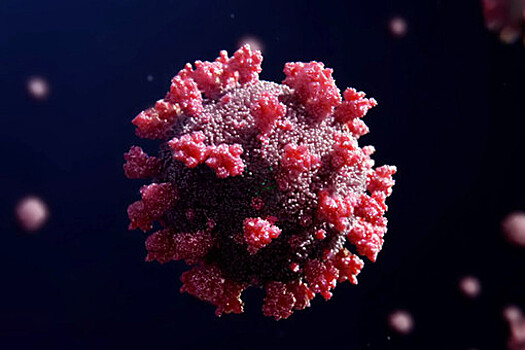 Штамм коронавируса "омикрон" выявили в Австралии