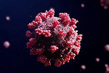 Вирусологи оценили вероятность "тюнинга" коронавируса