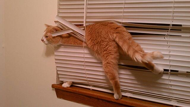 Почему все говорят о кармических ошибках? Рассказываем, как их избежать