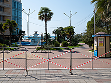 Дан прогноз возобновления туризма в Сочи и Крыму
