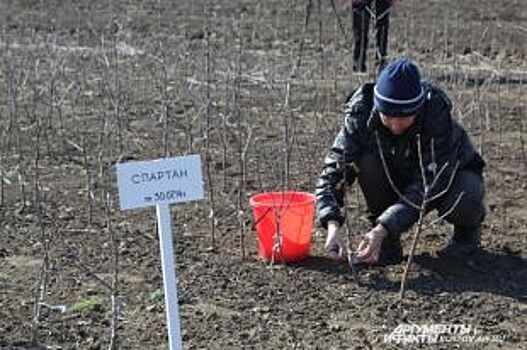 Сотня «дачных» автобусов довезет ульяновских садоводов до их товариществ