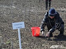 Сотня «дачных» автобусов довезет ульяновских садоводов до их товариществ