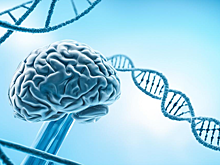 Ученые научились по генам определять болезнь Альцгеймера