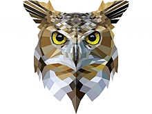 В Покровском-Стрешневе для детей организуют игру «Что? Где? Когда?»