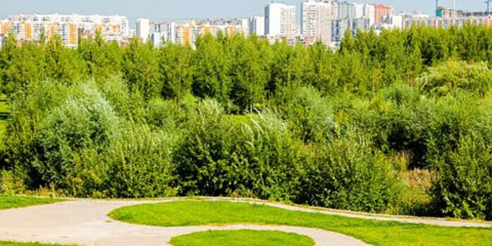 Планы благоустройства СЗАО на 2017 год одобрены мэром