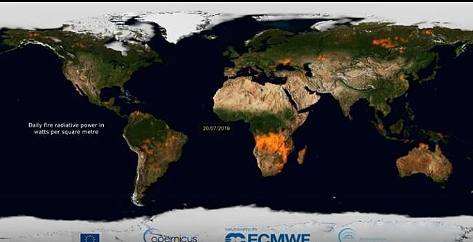 Ученые создали ролик с визуализацией всех лесных пожаров в мире за год. Видео